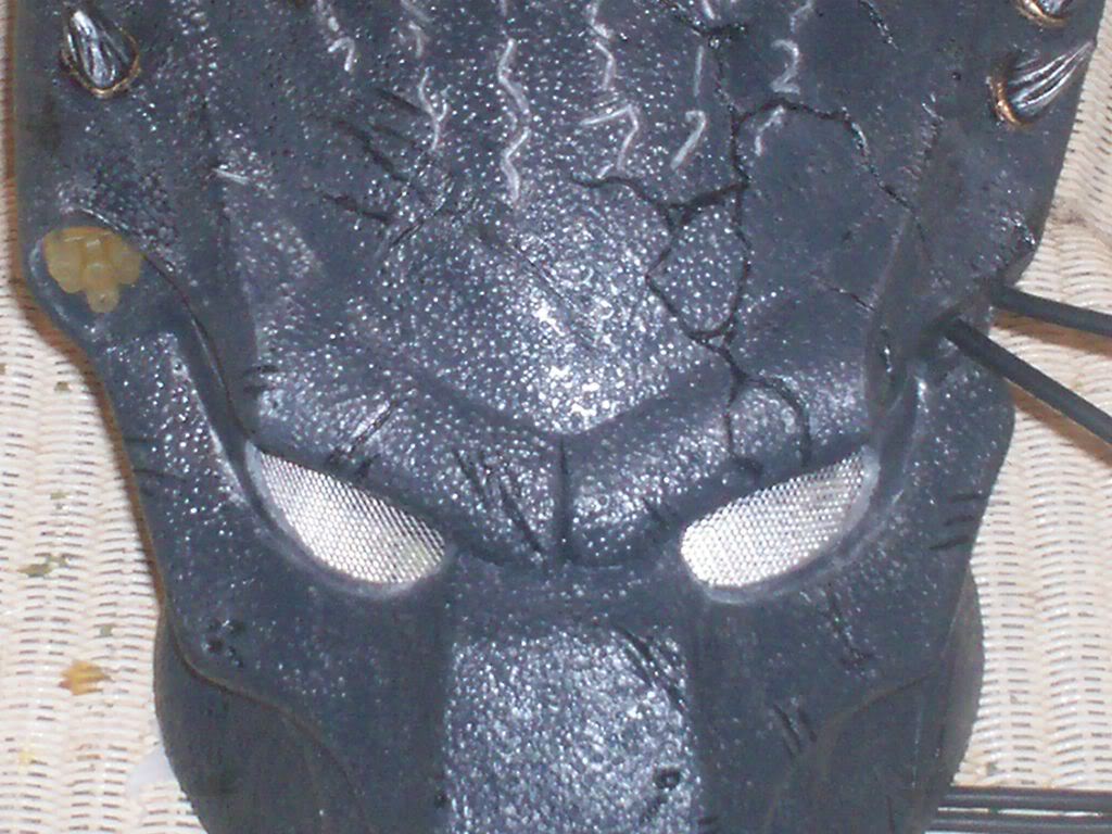 000_1100.jpg