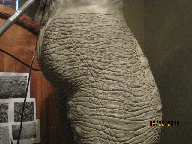 002_zps6adbd076.jpg