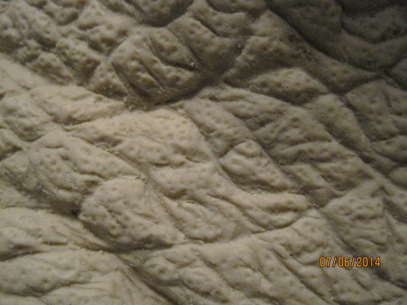 002_zps99e1893e.jpg