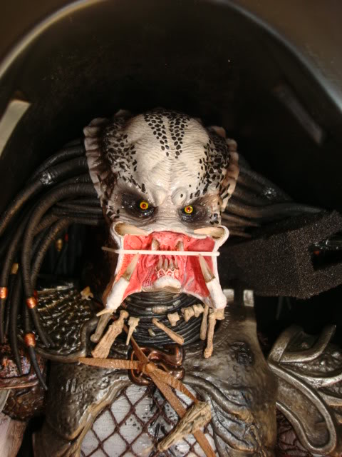 005-1.jpg