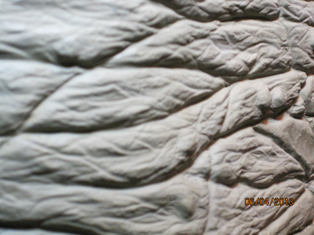 005-31_zps2a85d4e9.jpg