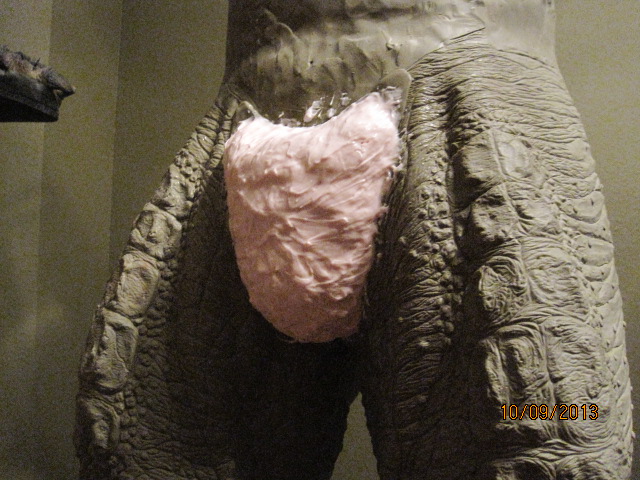 006_zps0e1839c6.jpg