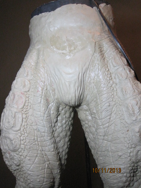 007_zps8b763923.jpg