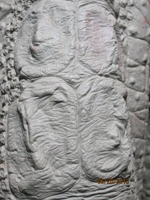 008_zps25a8ca83.jpg