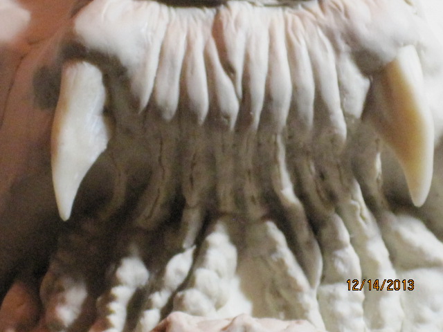 009_zps31483657.jpg