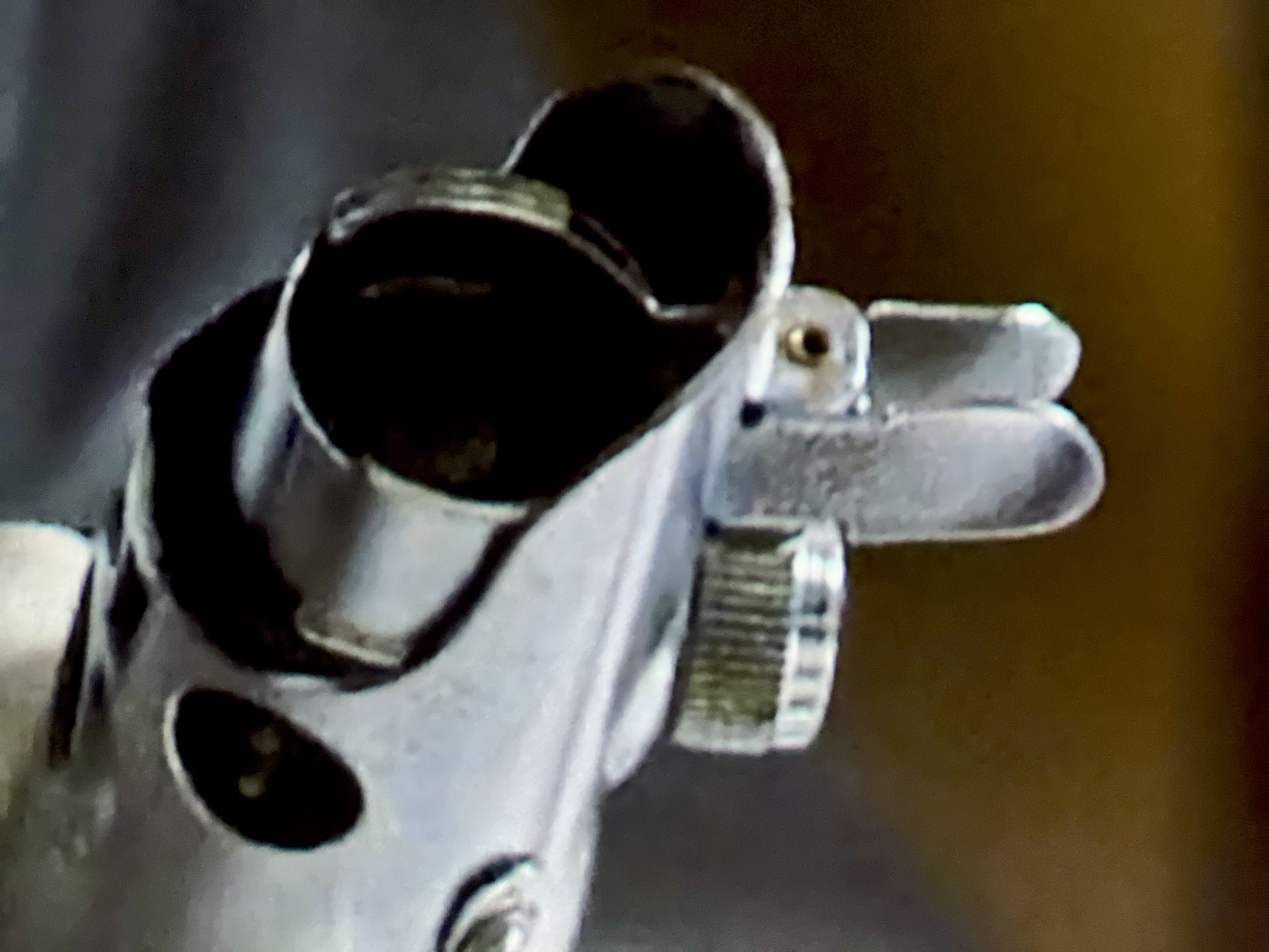 012E7149-62F5-4311-831D-17A0849D22C1.jpeg