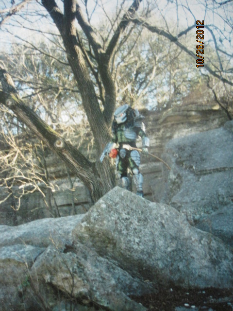015-8.jpg