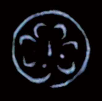 017 irish token 01.jpg