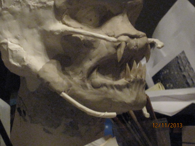 017_zpsc87062b2.jpg