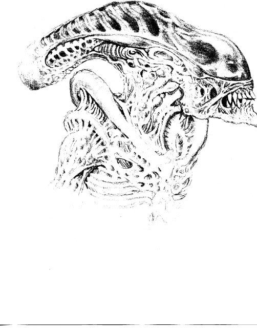 0217060003.jpg