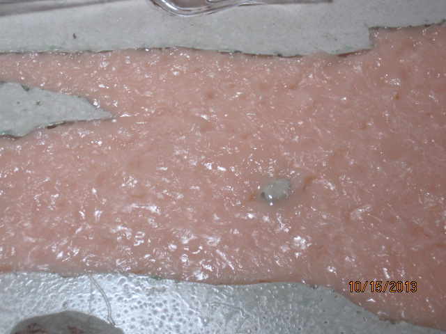 021_zpsa6c484ef.jpg