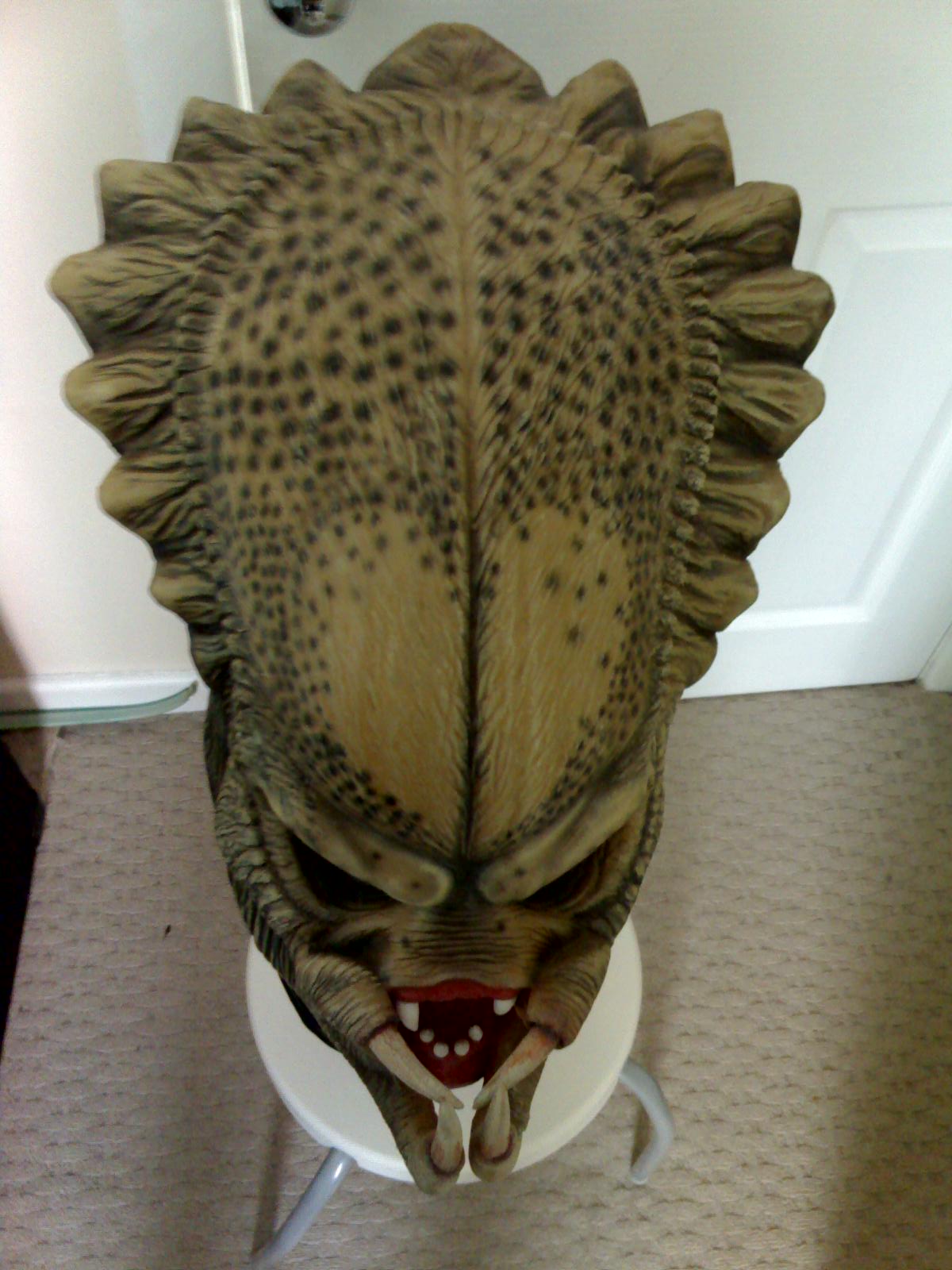 02_06_08_1604.jpg