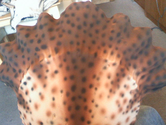 030710165213.jpg