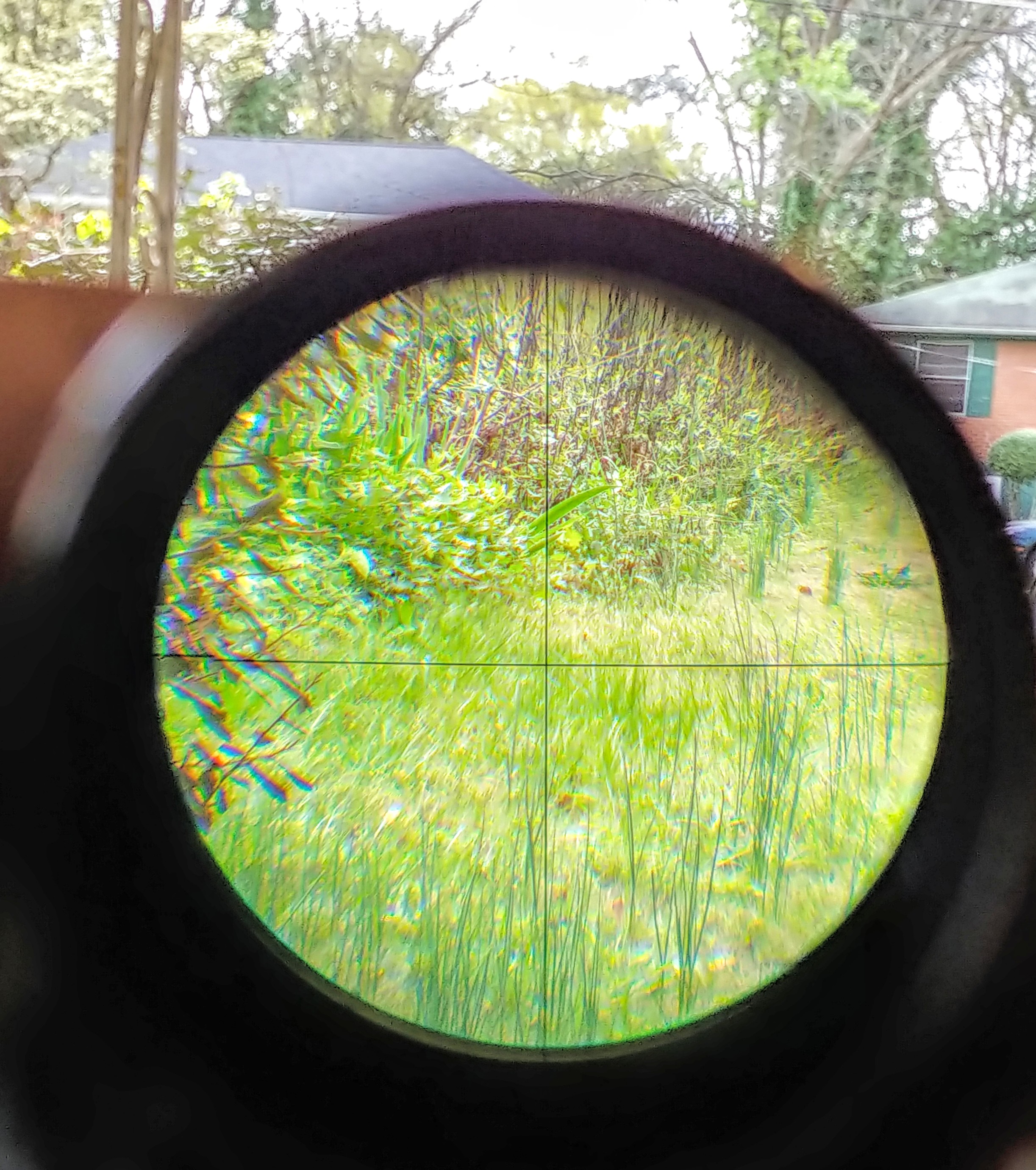 0324201554_HDR.jpg