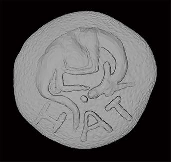 050 hatria as 03.jpg