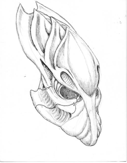 0507060003.jpg