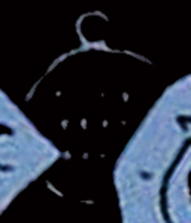 053 sator 01.jpg