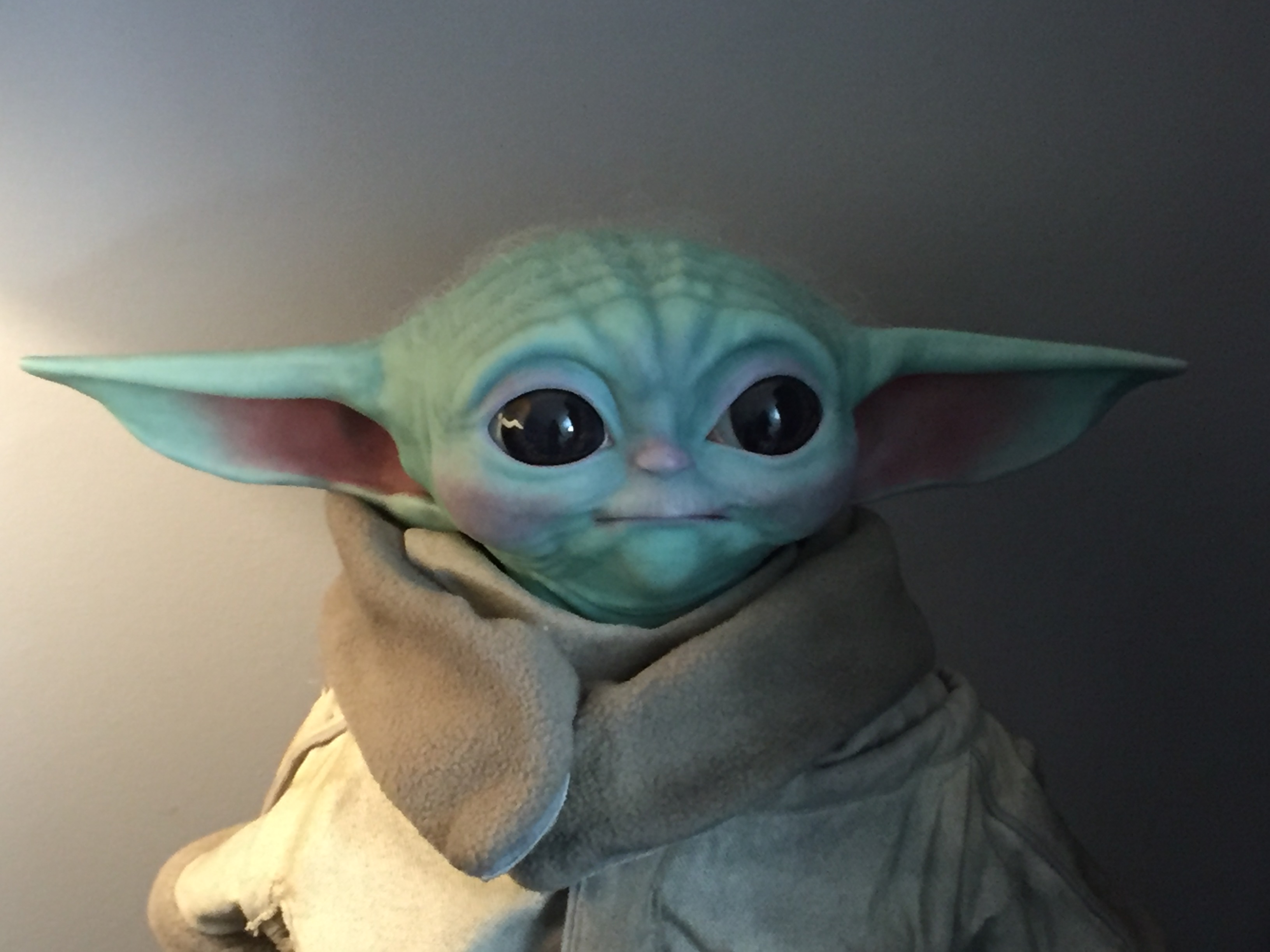 065216BC-DEF7-4A12-89F0-01D9B3D9ED83.jpeg