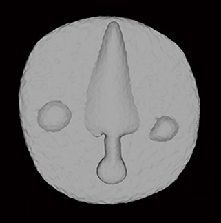 069 sextans 03.jpg