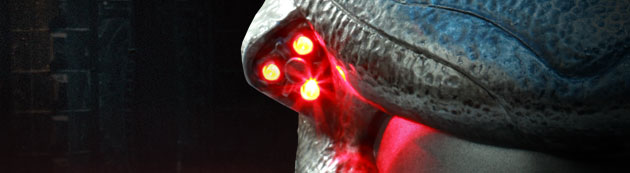 070909choppermask_02.jpg