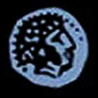 071 tyrian shekel 01.jpg