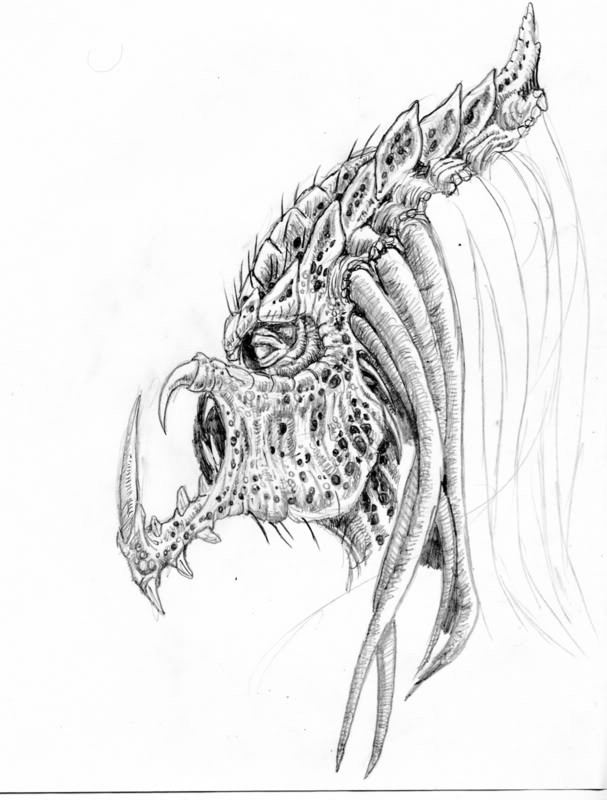 0823070005.jpg