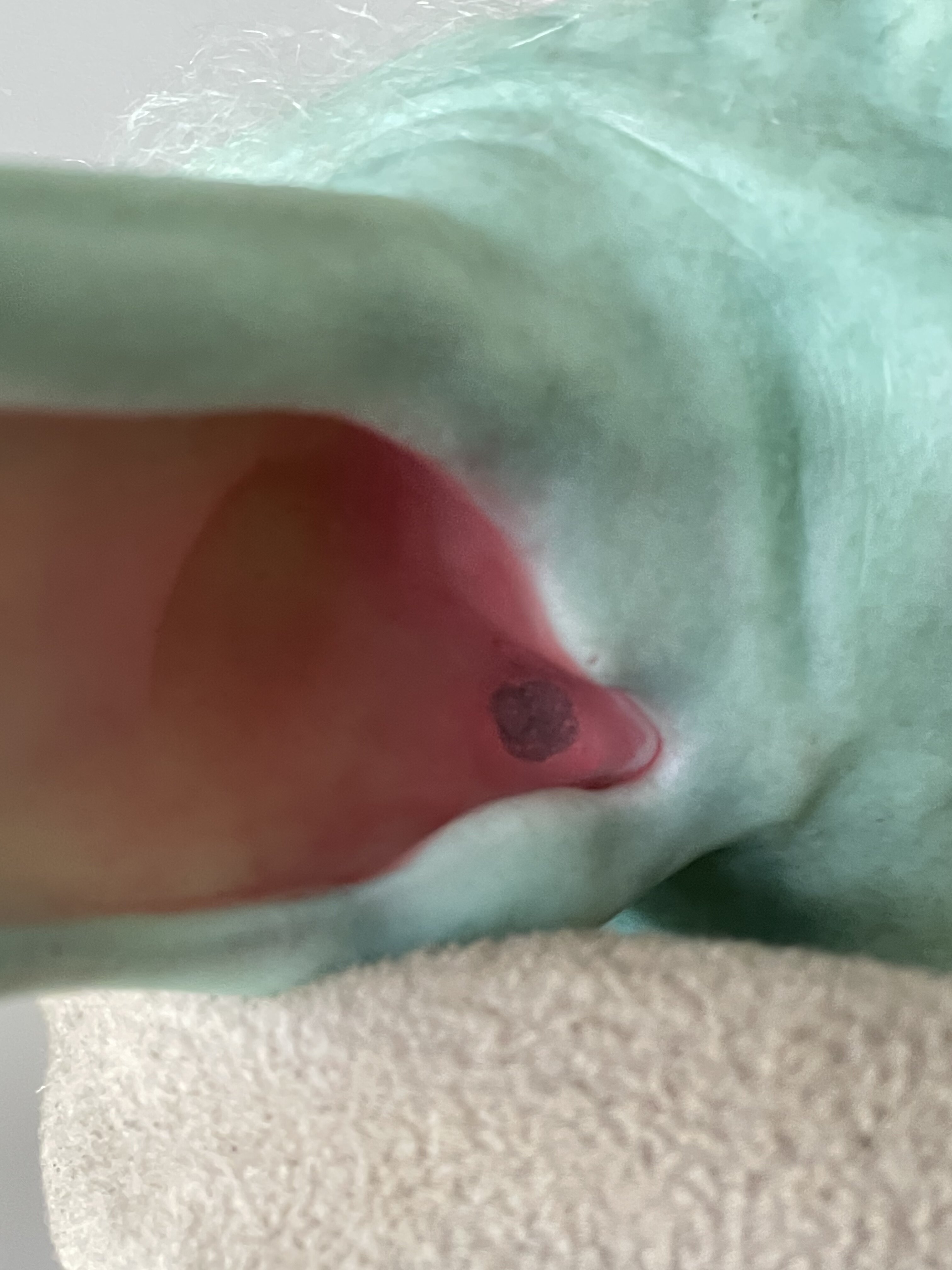 094093CA-B84A-45C0-81F5-76FB815AEDE9.jpeg
