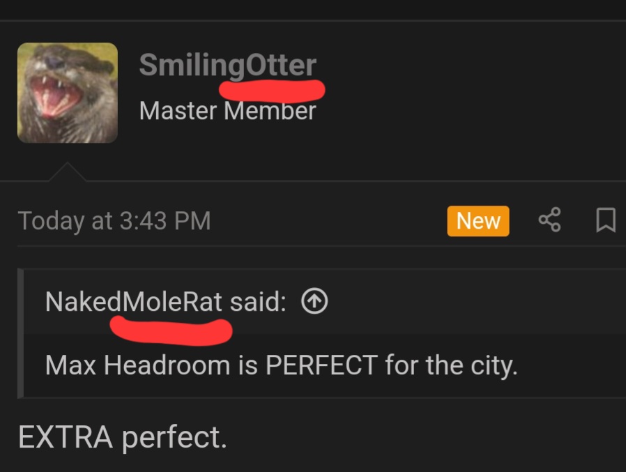 1000013747.jpg