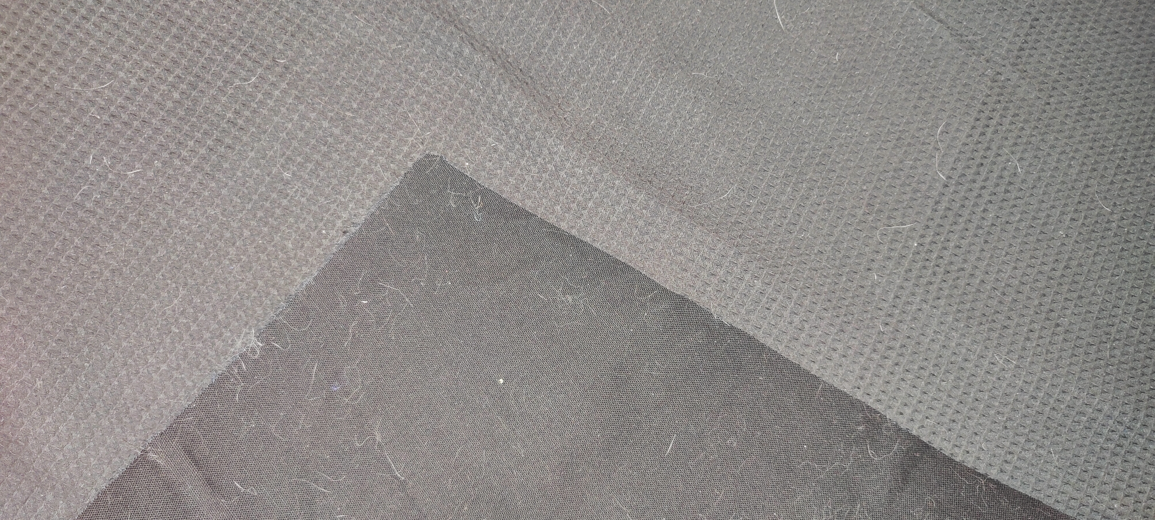 1000014316.jpg