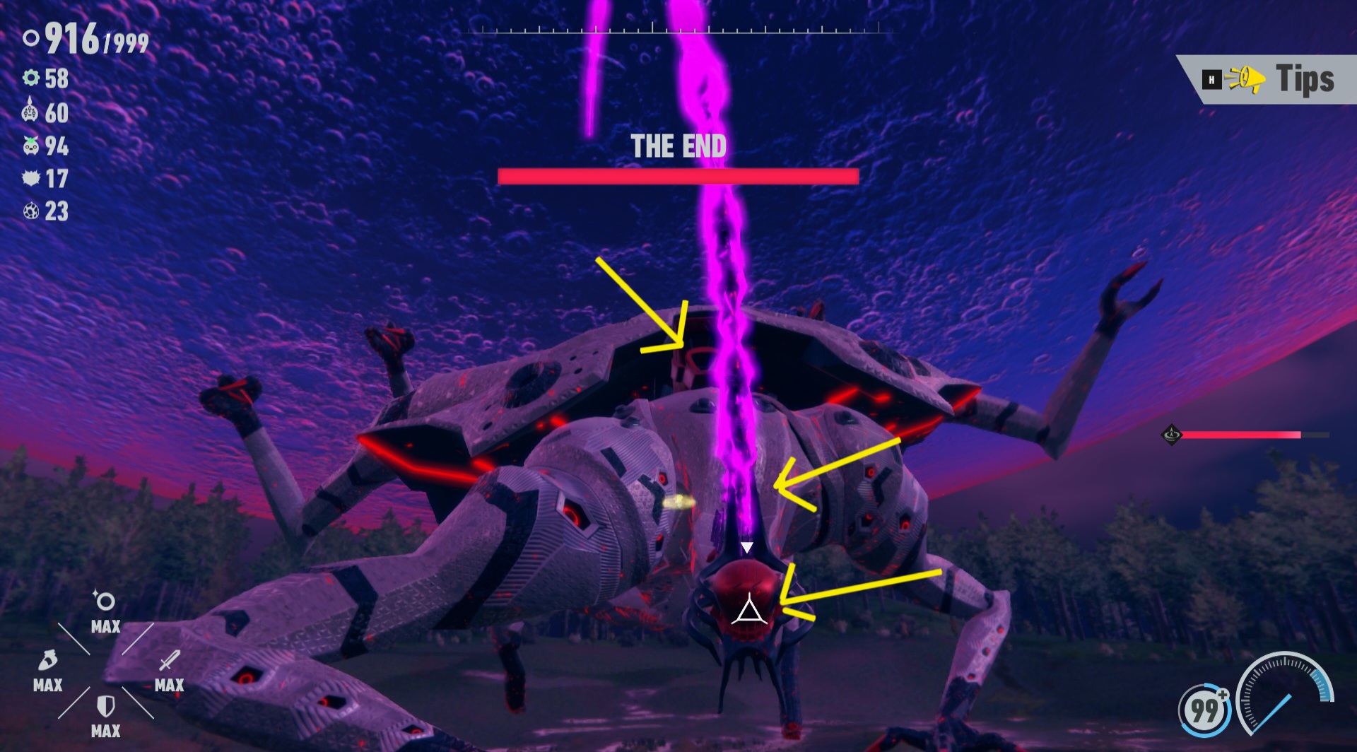 1000018221.jpg