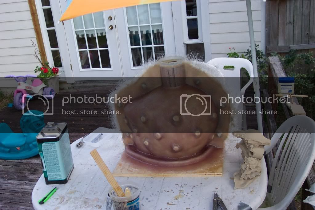 100_1575.jpg