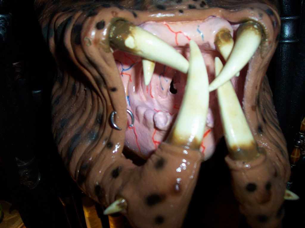 100_2491.jpg