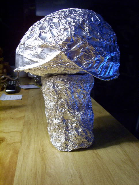 100_6723.jpg