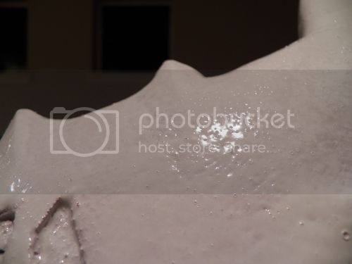 102_0085_zps9ee4eccf.jpg