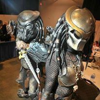 10987485_10206220025875919_7947042440855270138_n_zpsi2vnwl57.jpg