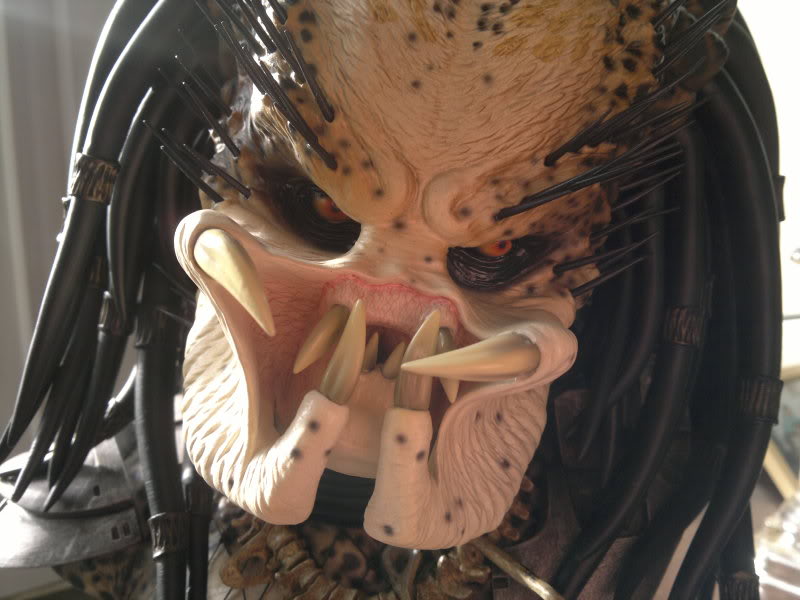 111020111195.jpg