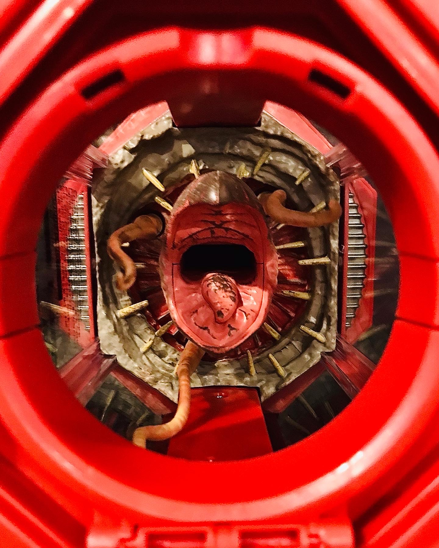 11174A15-998E-45AB-B0D5-501EAC967CE5.jpeg