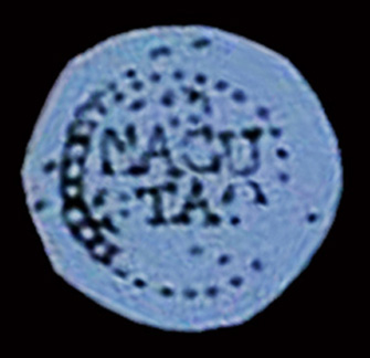 122 macuta 01.jpg