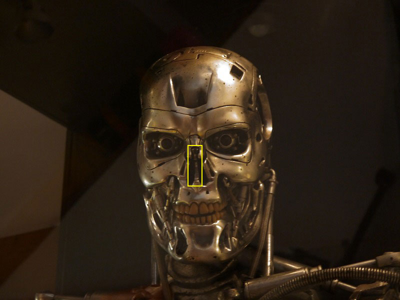 123-Endoskeleton-Tomenosuke-Shoten-shop-Japan-014.jpg