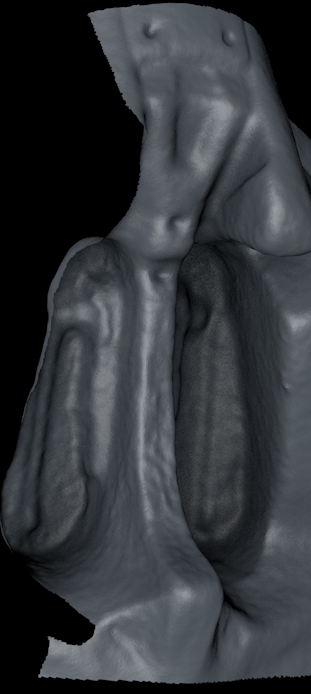 123-Terminator Nose.png