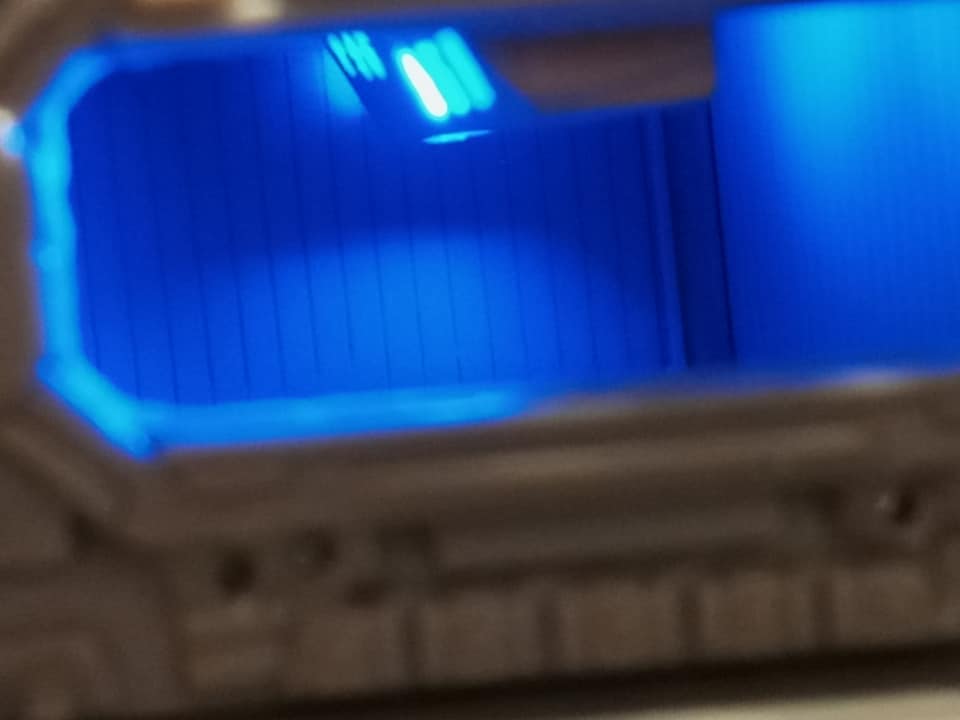129900302_10221515431188906_1453377655539664029_n.jpg