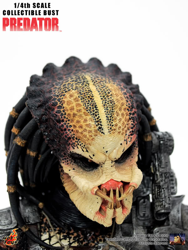 12PredatorBust.jpg
