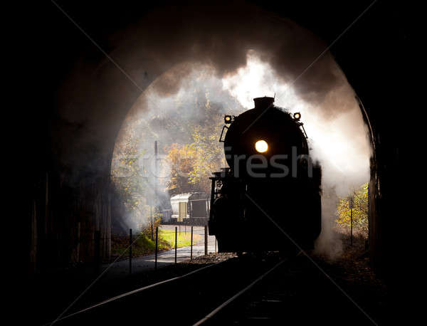 1326586_stock-photo-steam-locomotive-enters-tunnel.jpg