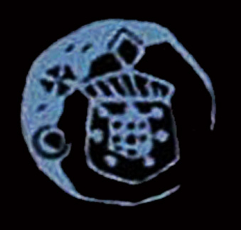 135 cruzado 01.jpg