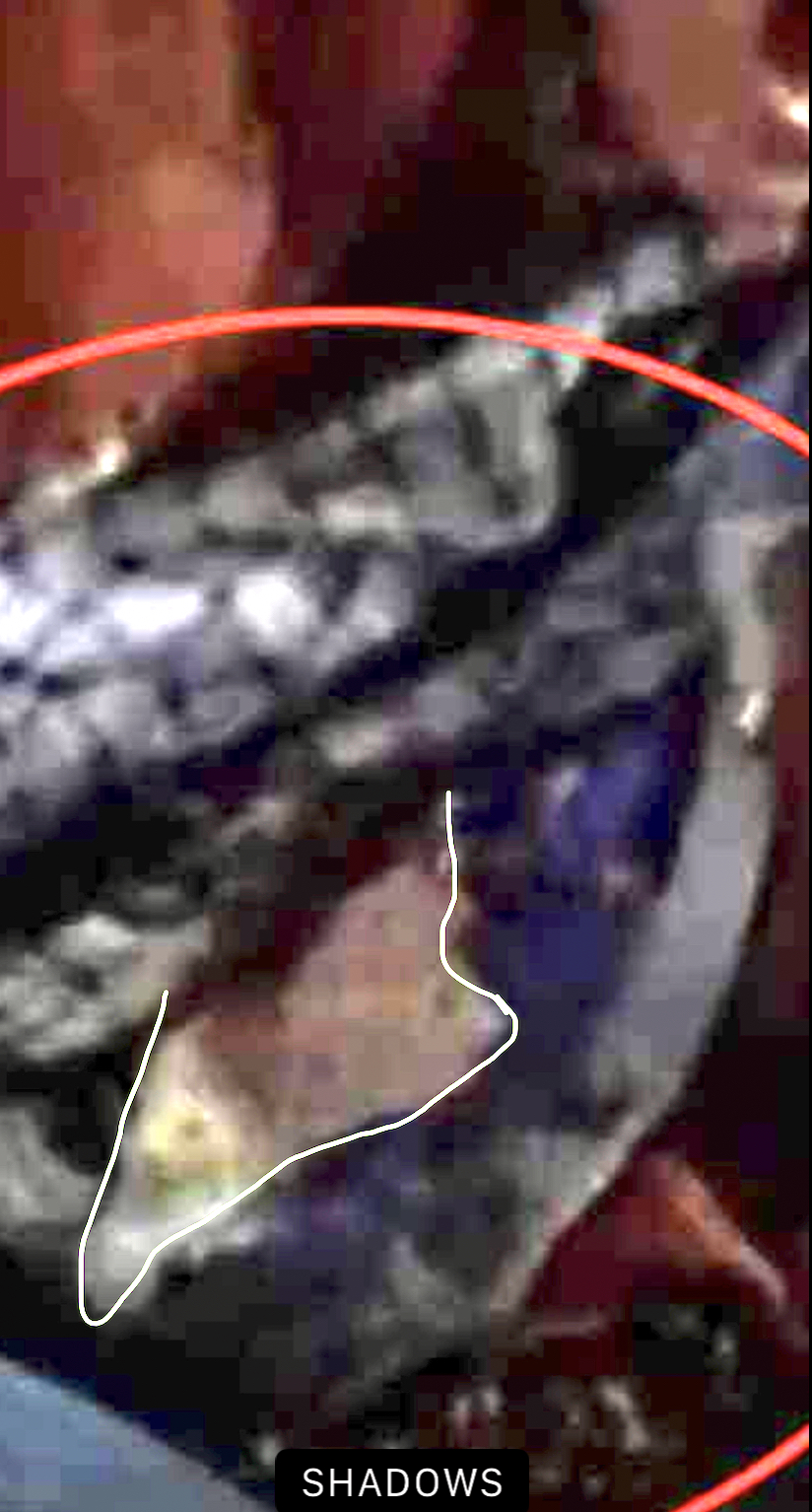 142D08F5-88E9-4619-B149-1663B5A6BDC1.jpeg
