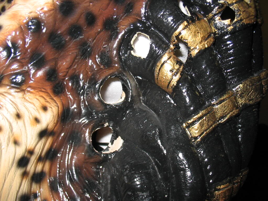 152_5217.jpg