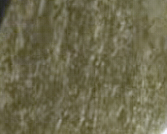 1577979720587.png