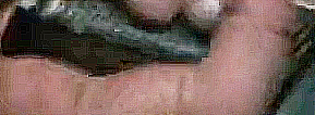 1597619270014.png