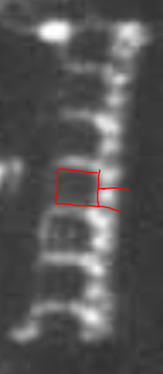 1614705368113.png