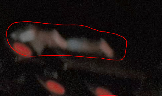 1650496808412.png